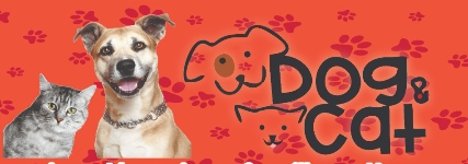 Dog&Cat